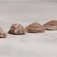 Пластичный шоколад без сахара