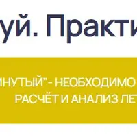 Профессиональный фэншуй. Практика. Аудит бизнес объекта