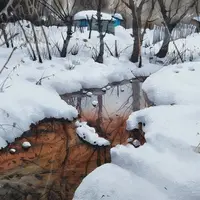 Акварельный курс «Зимнее-Пушистое»