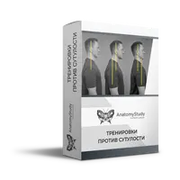 Тренировки против сутулости. Диагностика и коррекция осанки