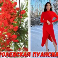 Платье Королевская пуансиана