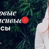 Здоровые и красивые волосы