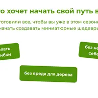 Бонсай своими руками