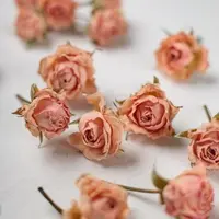 Шампуни, гели и пена для душа