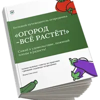 Огород – все растет