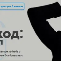 Остеокод: Череп