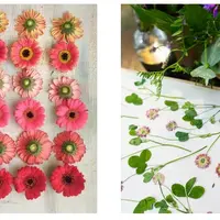 Основы правильной засушки сухоцветов