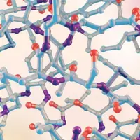 Инсулин и инсулинорезистентность