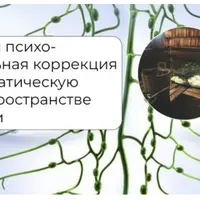 Иммунная и психо-эмоциональная коррекция через лимфатическую систему в пространстве мягкой бани