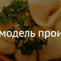 Финансовая модель производства пельменей