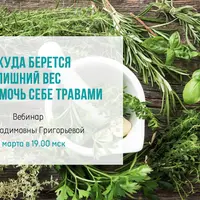 Откуда взялся лишний вес и чем помогут травы