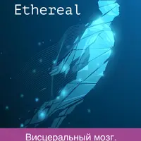 Ethereal. Висцеральный мозг. Интуиция. Ставки