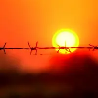 Путь исцеления: травма как ресурс