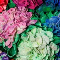 Городские цветы