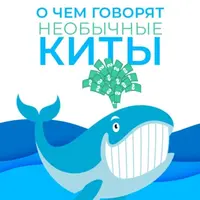 О чем говорят необычные киты