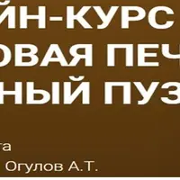 Здоровая печень и желчный пузырь