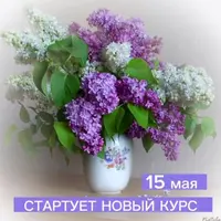 Сирень