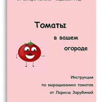 Томат. Инструкция по выращиванию