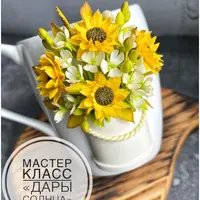 Дары солнца