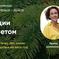 Травы, специи и питание летом