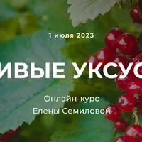 Живые уксусы
