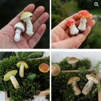 Грибной курс