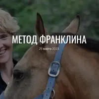 Метод Франклина