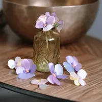 Вышивка лентами: Сады Эгиды