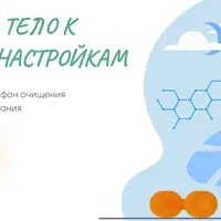 Марафон очищения. Вернем тело к заводским настройкам