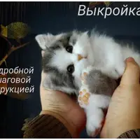 Котенок Ричард