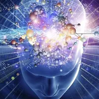 Магнитный разум