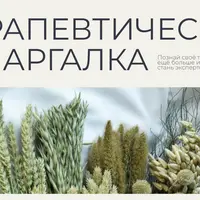 Терапевтическая шпаргалка