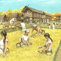 Рис приходит в Японию: формирование земледельческой культуры