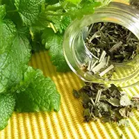 Травы и работа с хроническими вирусными инфекциями