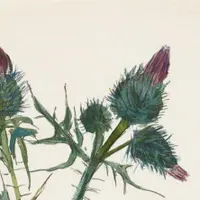 Баллада о цветах: Чертополох