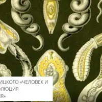 Эволюция паразитизма: человек и паразиты