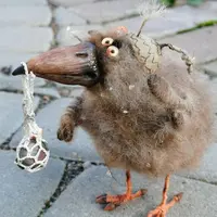 А может быть ворона?