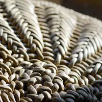 Салфетка Сакура в Ёлках