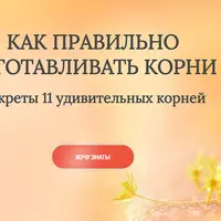 Как правильно заготавливать корни. Секреты 11 удивительных корней
