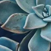 Давление – ты как? или ВСДшники поймут