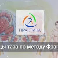 Мышцы таза по методу Франклина