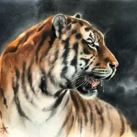 Дыхание тигра