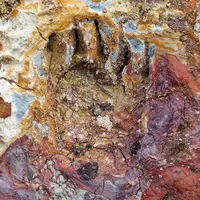 Осторожно – семиотика! Уликовая парадигма: след, симптом, знак