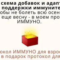 Иммуно протокол. Поддержка иммунитета
