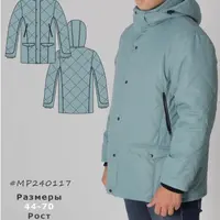 Мужская зимняя куртка MP240117