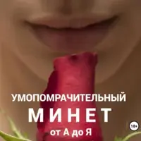 Умопомрачительный минет от А до Я. Космос прикосновений