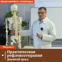 Практическая рефлексотерапия. Модуль 2. Дневной цикл