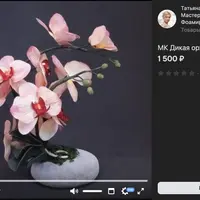 Дикая орхидея на камне