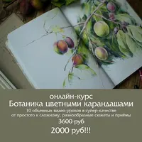 Ботаника цветными карандашами