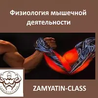 Физиология мышечной деятельности